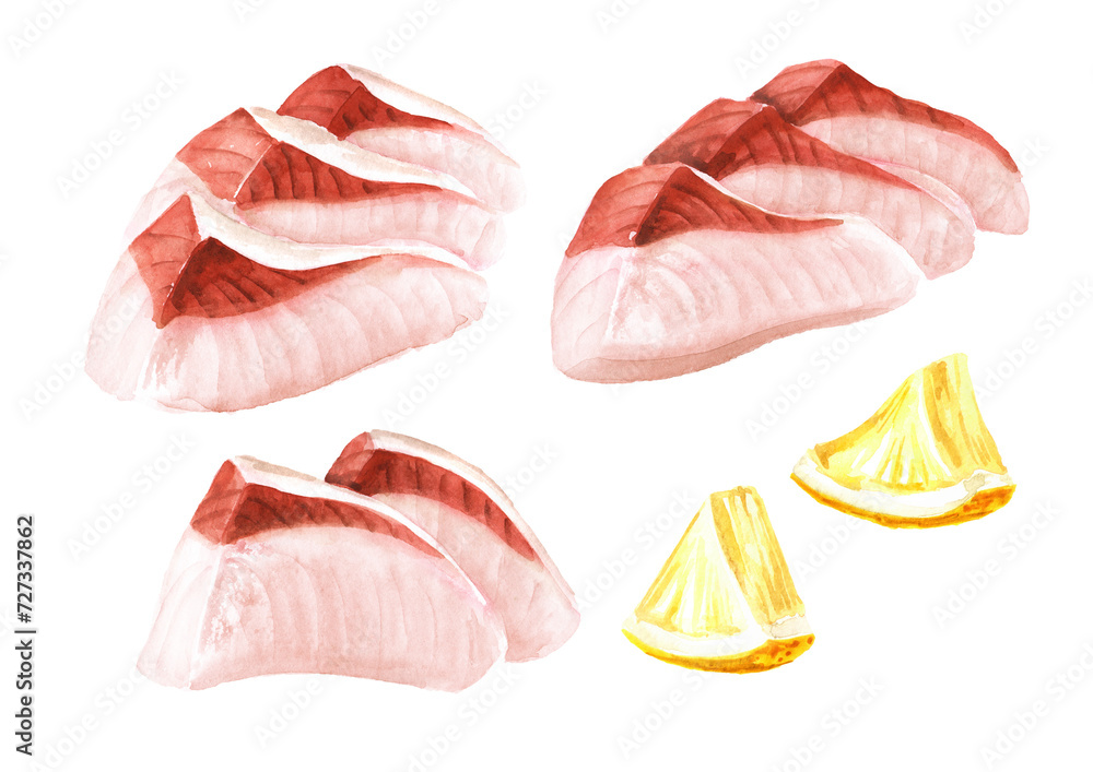 Fish greater amberjack raw fillet set. Hand drawn watercolor illustration,  isolated on white background 
