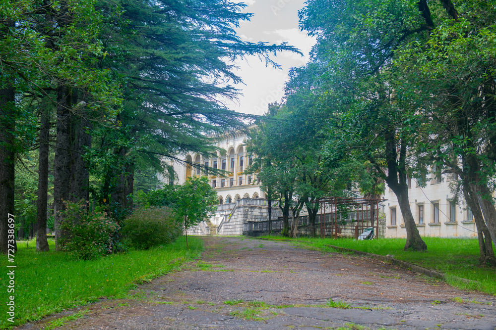 Nature's Takeover: Abandoned Sanatoriums and Dilapidated Buildings with Broken Windows and Doors