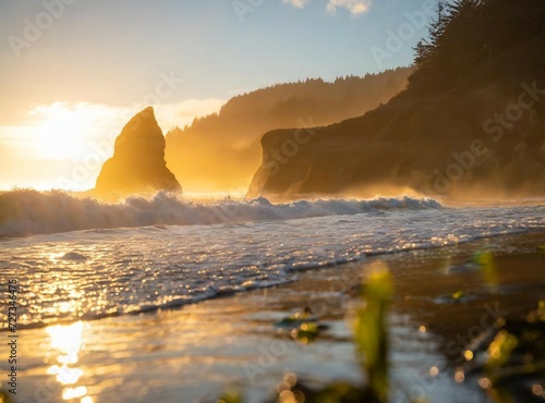 Rocky beach coast