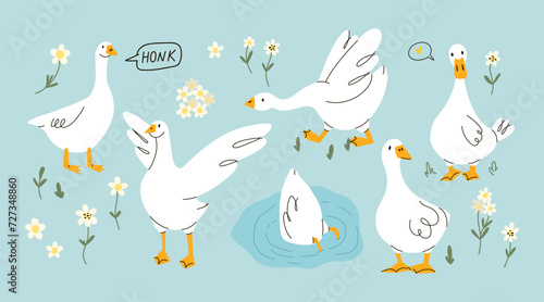 Cute goose. Adorable farm birds in different poses, funny characters and flowers. Childish print and poster, kids textile and nursery decor. Stickers set, vector cartoon flat isolated illustration