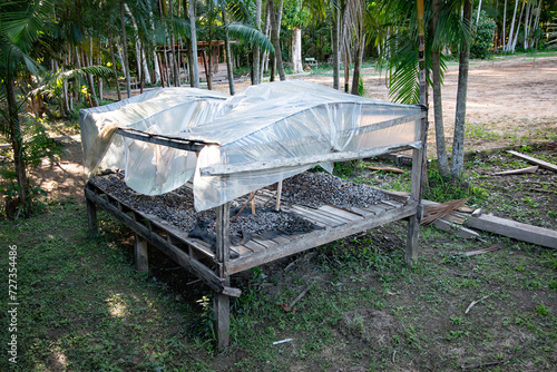 Estufa com Amêndoas secando para posterior retirada de óleos na Casa de Ribeirinho na Comunidade da Ilha das Cinzas, Arquipélago do Marajó, Pará, Brasil  photo