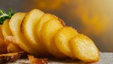 Round sliced fried potatoes, selective focus macro banner