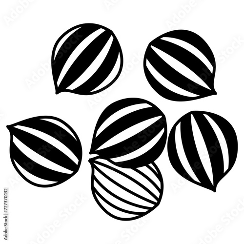 Coriander glyph and line vector illustration