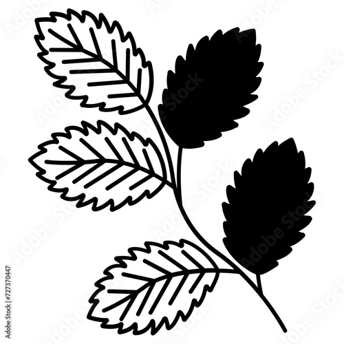 Mint leaf glyph and line vector illustration