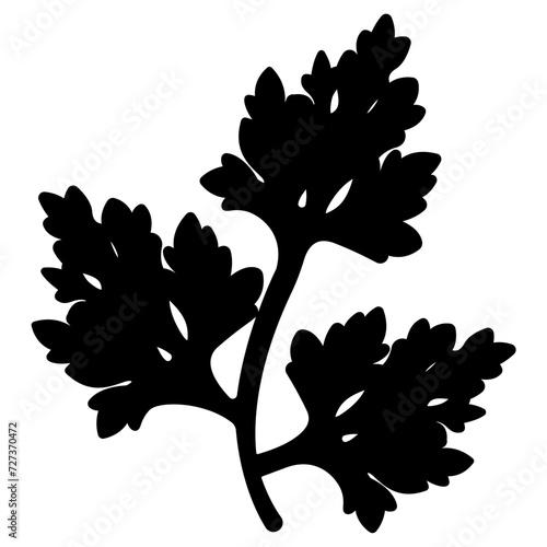 Parsley glyph and line vector illustration