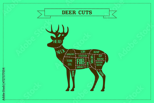 Deer meat cuts. Vector illustration.