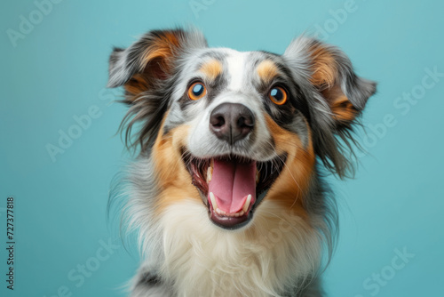 a dog with its eyes closed in joy, mouth open in a carefree smile against a light blue pastel background. © Serega
