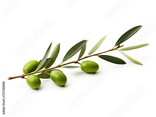 Olive Branch Symbol of Peace and Harmony Isolated on White Background AI Generated