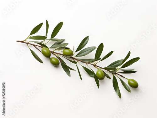 Olive Branch Symbol of Peace and Harmony Isolated on White Background AI Generated