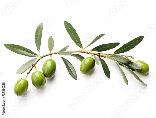 Olive Branch Symbol of Peace and Harmony Isolated on White Background AI Generated