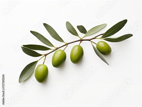 Olive Branch Symbol of Peace and Harmony Isolated on White Background AI Generated