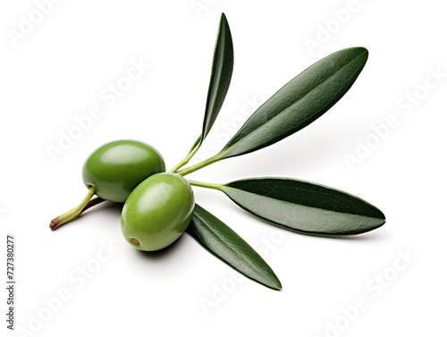 Olive Branch Symbol of Peace and Harmony Isolated on White Background AI Generated