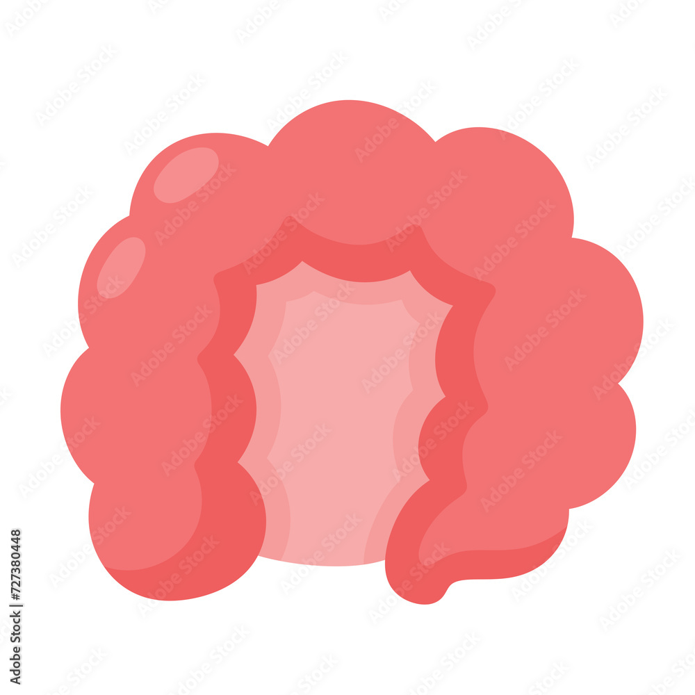 Cartoon intestine human body organ icon.