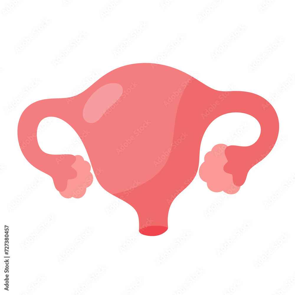 organ womb cartoon icon.