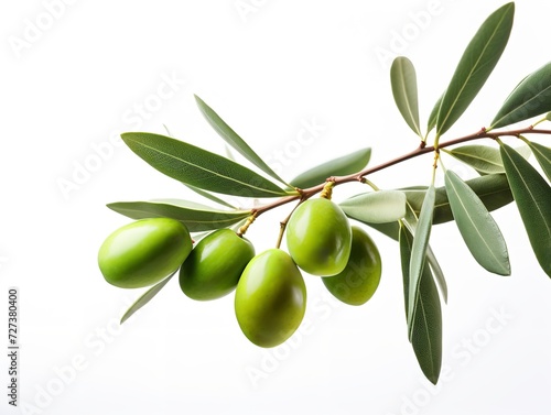 Olive Branch Symbol of Peace and Harmony Isolated on White Background AI Generated