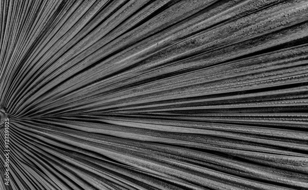 Obraz premium tekstura