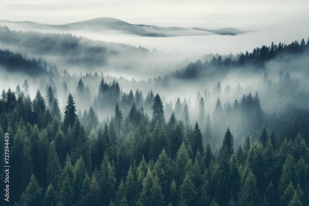 A mysterious forest covered in dense fog, creating a mesmerizing and mystical atmosphere, Thick fog covering a dense coniferous forest, seen from a bird's eye view, AI Generated