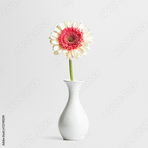 A light pink gerbera flower in a white vase on a white background © Berzyk