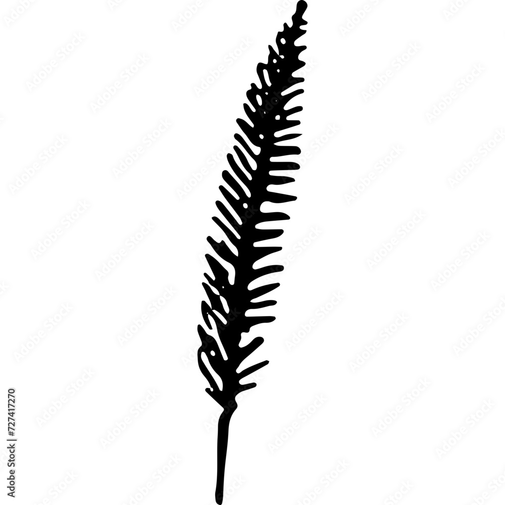 Feather Feather