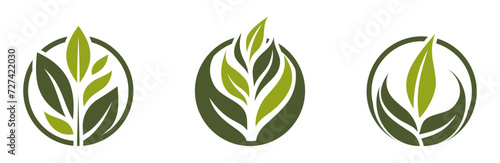 organic symbols. eco and green leaf icons. vector images in flat design