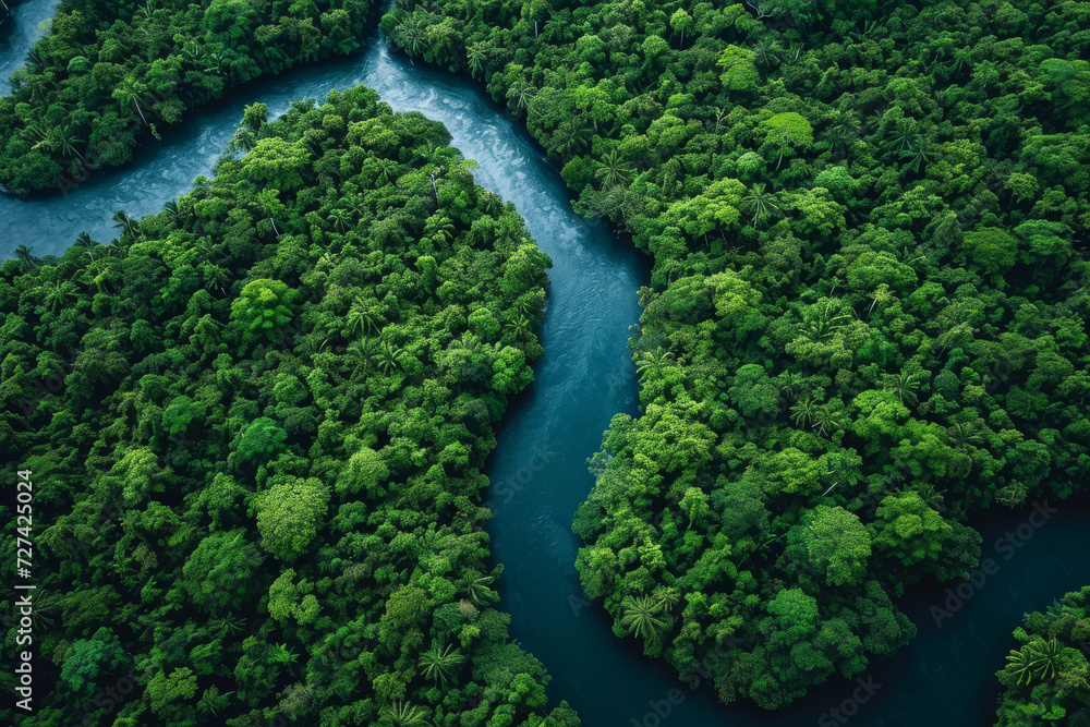 Overhead view of a meandering river in a tropical forest, illustrating nature's intricate pathways. Concept of natural watercourses and jungle landscapes. Generative Ai.