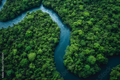 Overhead view of a meandering river in a tropical forest, illustrating nature's intricate pathways. Concept of natural watercourses and jungle landscapes. Generative Ai. © Sebastian