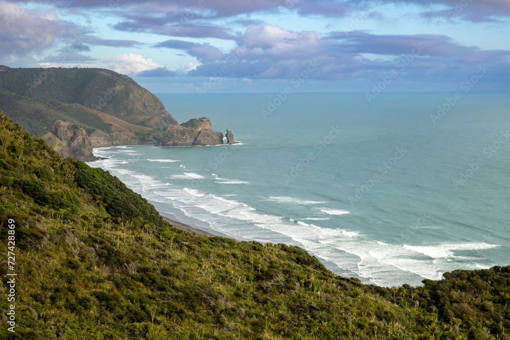 View out to Piha, Auckland, New Zealand.