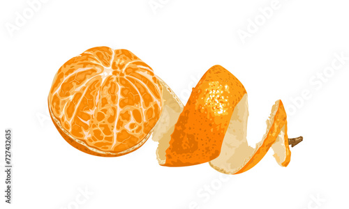 Vector illustration, mandarin orange with green leaves, scientific name Citrus reticulata, isolated on white background.