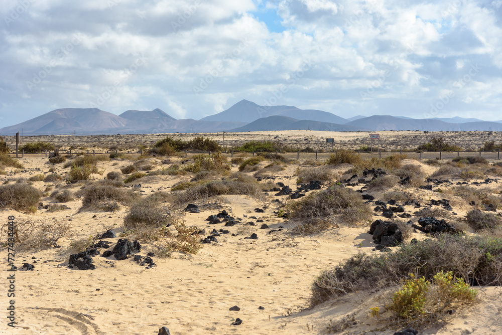 The Sand Dunes of Corralejo on Ferteventura The Sand Dunes of Corralejo on Ferteventura