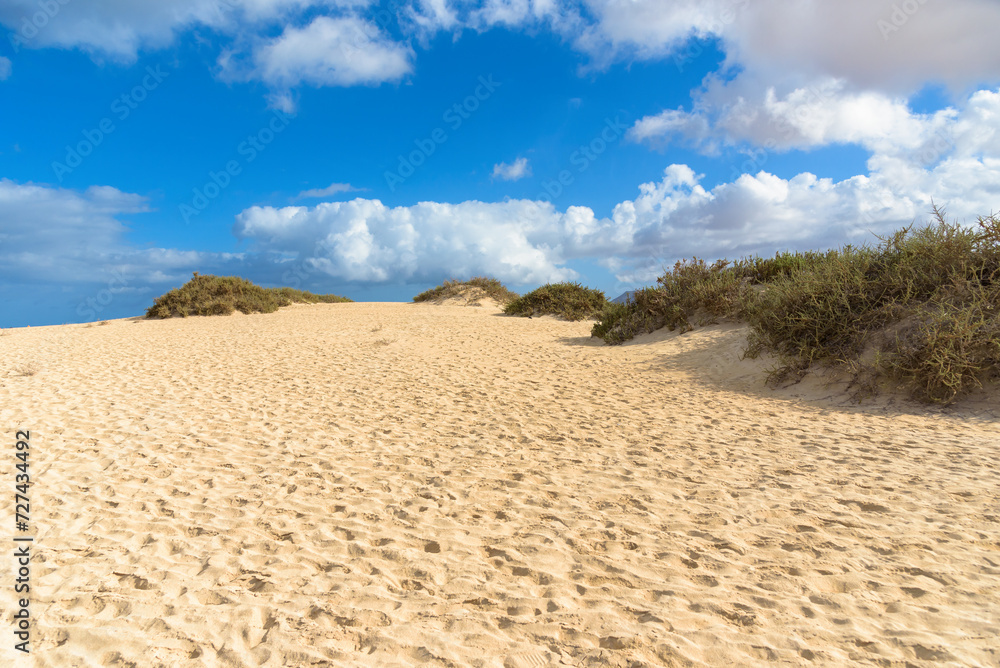 The Sand Dunes of Corralejo on Ferteventura