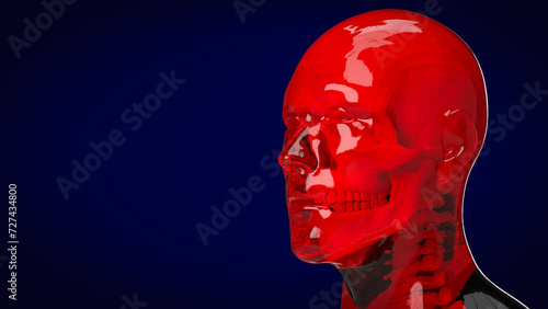 The human and skull for education or sci concept 3d rendering.