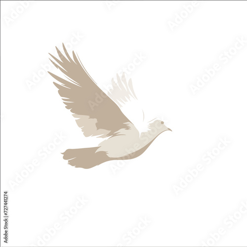 Vector silhouette of a dove flying