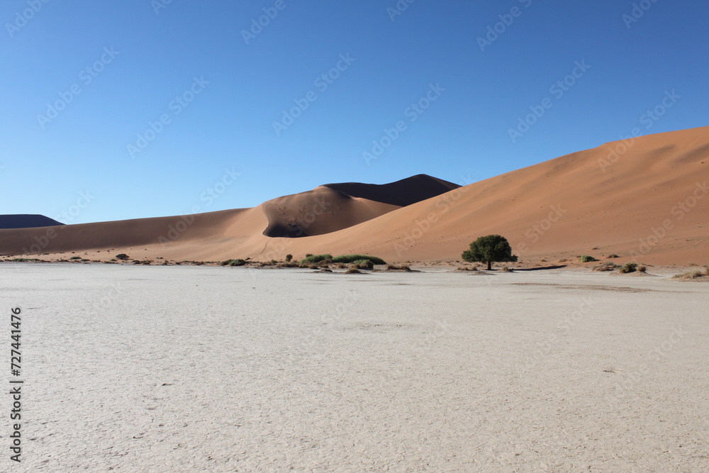 View of the Dune 45 in the Namib-Naukluft National Park