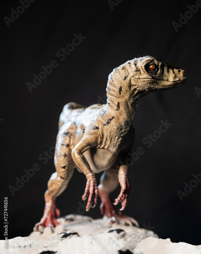 Velociraptor dinosaur in the dark