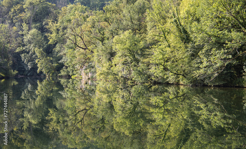 arbres se reflétant dans la rivière la Loue dans le département du Doubs en Franche comté en été