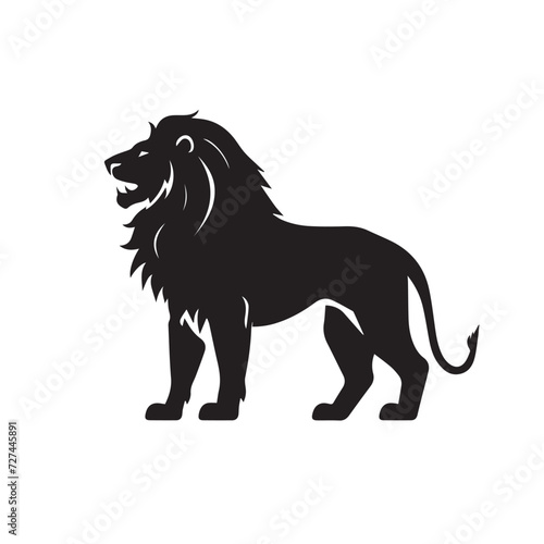 lion illustration