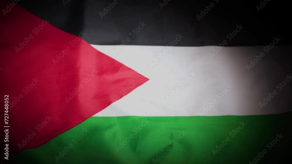 Rack focus of Palestine flag with vignette Rack focus of Palestine flag with vignette