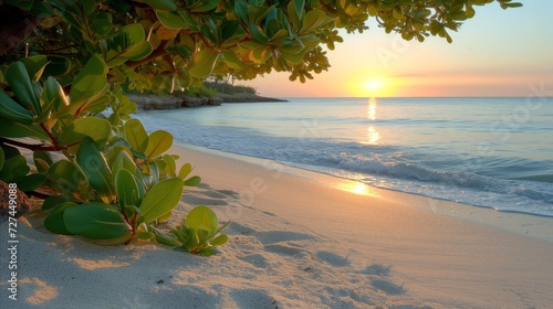 Serene Beach Sunrise With Tropical Foliage © OKAN