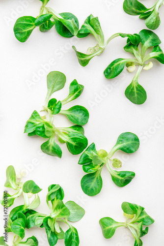 Corn lamb salad, green leaves of greens on beige background, top view