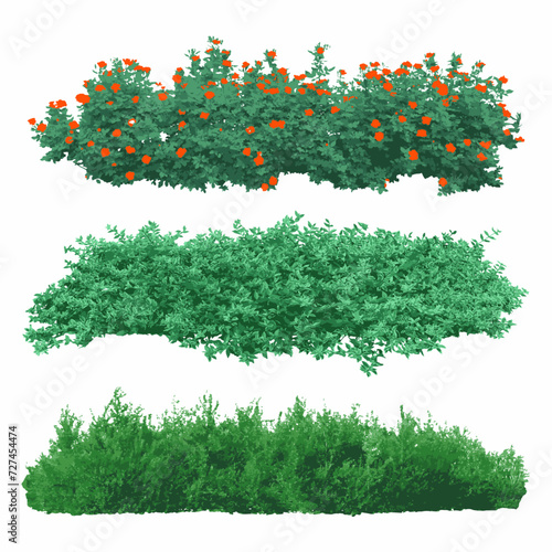 Realistic shrubs collection on white background.Set of shrubs