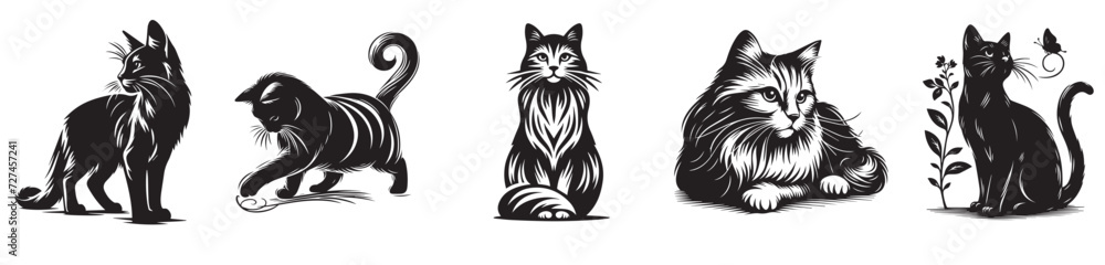 Obraz premium Cats vector illustration silhouette, set of collection without colored illustrations