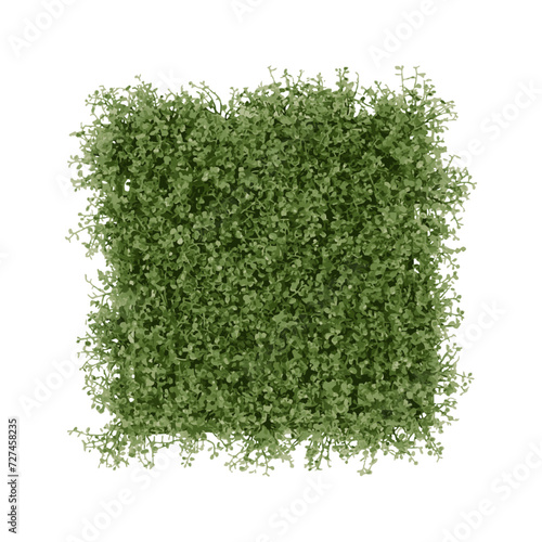 Realistic lawn on white background.Realistic lawn texture