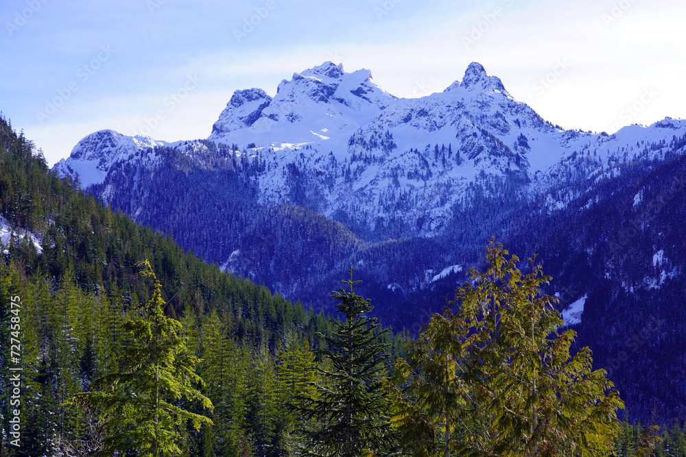 Rocky snow-capped mountain peaks with pine forest in the foreground