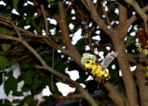 Bee with green hat decoration