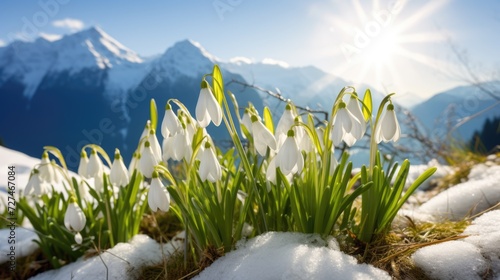 Snowdrop flowers in the mountains in spring. Snow on the ground. Beautiful sunny day. AI Generated 