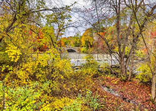 Fall leaves frame the Cochran Dam and South Street Bridge over the Charles River © Jo Ann Snover