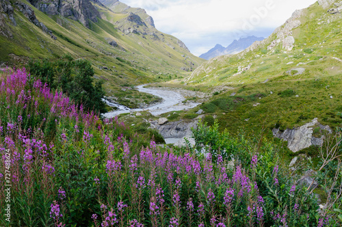 alpine meadow and river in the mountains