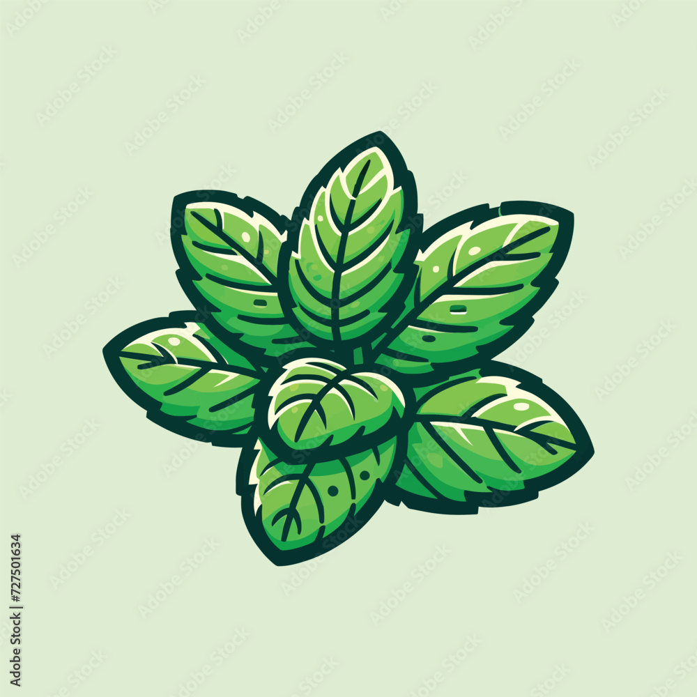 Mint Leaves Vector Illustration Mint Leaves Vector Illustration