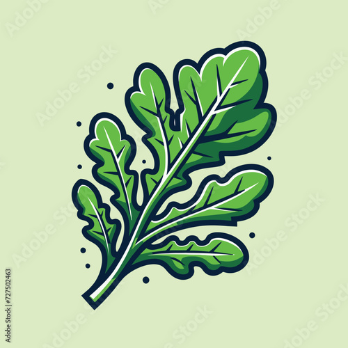 Arugula Leaf Vector Illustration