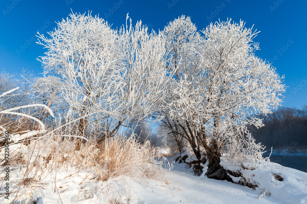 Kuerbin rime sunrise landscape in Yichun city Heilongjiang province, China. Kuerbin rime sunrise landscape in Yichun city Heilongjiang province, China.